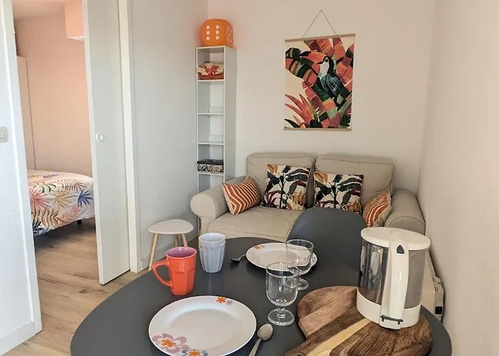 شقة Le Toucan, F2 Cosy Et Balcon Ensoleille